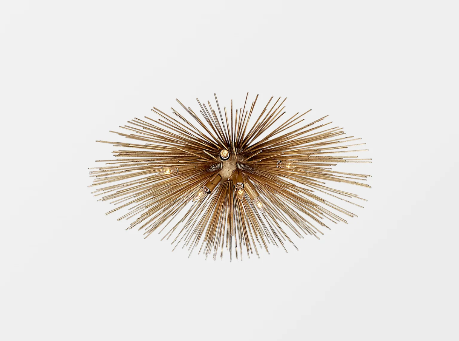 Ceiling Lights